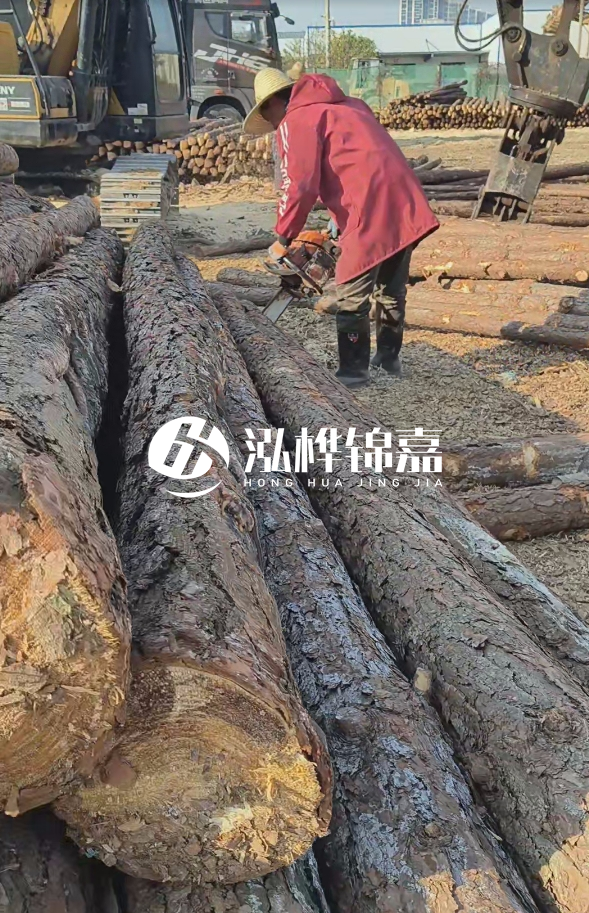 長沙打樁木批發(fā)廠家在哪里？聯(lián)系方式是什么？