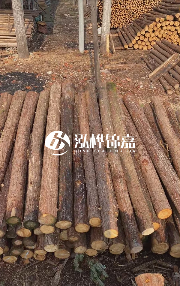 河道護坡選松木樁還是杉木樁？河道木樁一根多少錢？