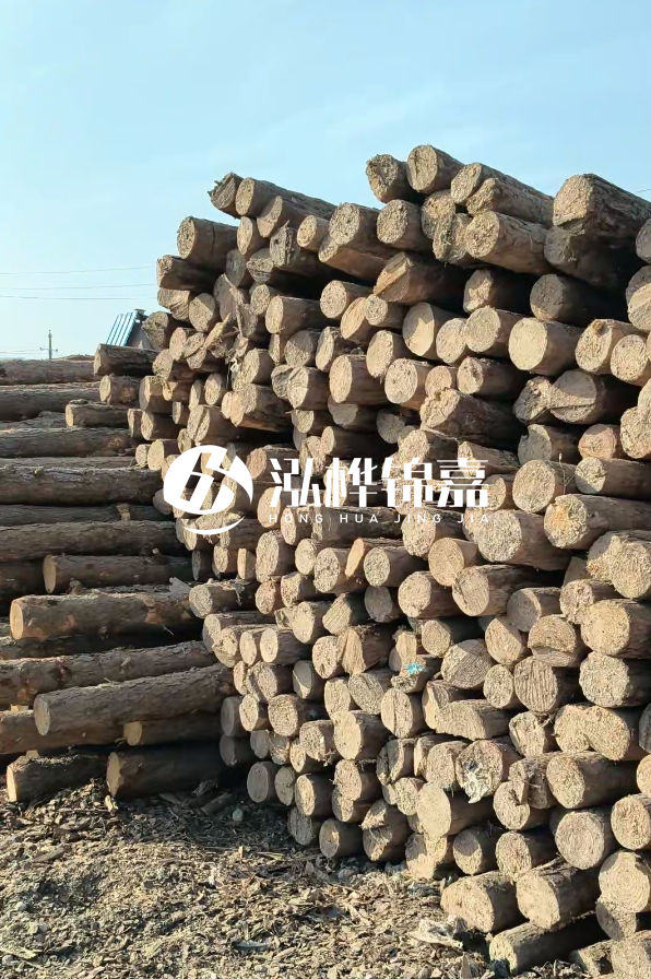 江西哪里有松木樁賣-4米12-14公分松木樁價格揭秘！