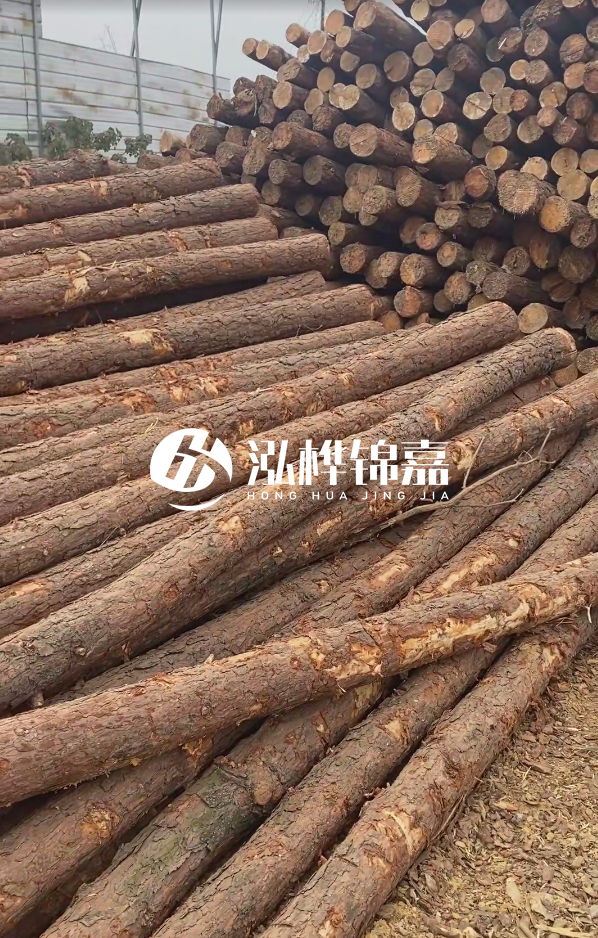 山西河道木樁護岸價格多少錢一米-每米河道打樁要花多少錢？