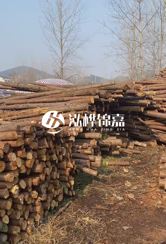 貴州打樁木材價格多少-打樁木材價格多少錢一立方？