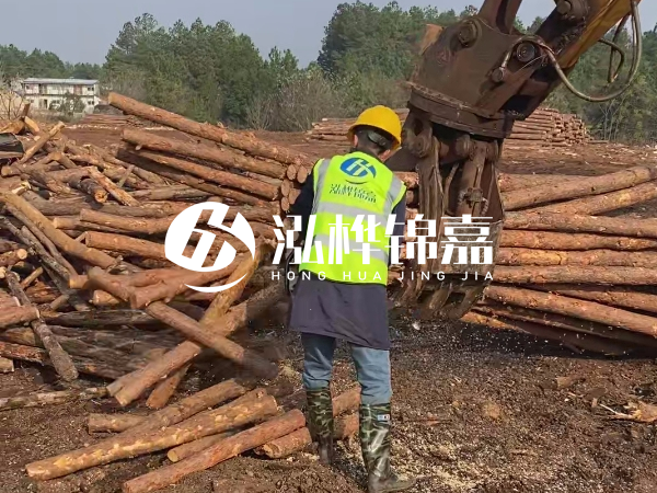 安徽松木樁選哪家-5米小頭10-12公分松木樁多少錢(qián)？