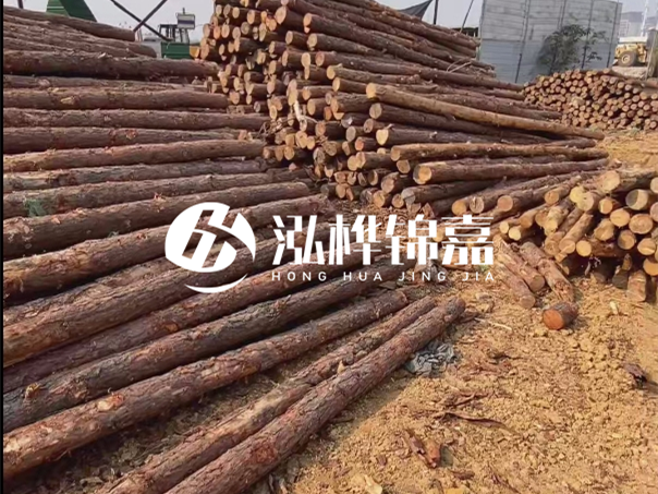 河道木樁施工遇到淤泥怎么辦？打多深才能防沖刷？