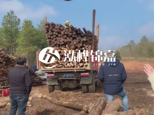 防腐木樁價(jià)格比普通木樁貴多少？防腐木樁有哪些處理方式？