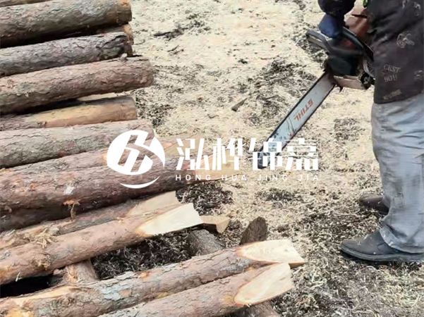 杉木樁批發(fā)廠家哪家好？產(chǎn)地直供渠道推薦！