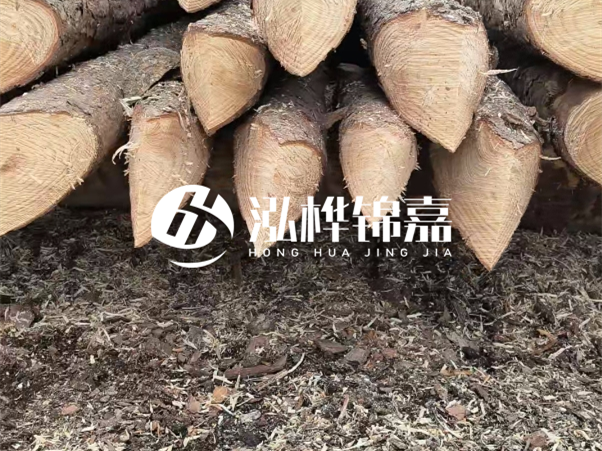 打樁木樁與鋼樁相比有哪些優(yōu)缺點(diǎn)？如何進(jìn)行后期維護(hù)？