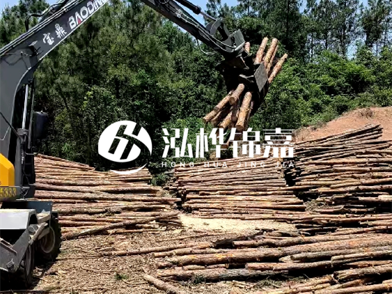 3米松木樁小頭10公分多少錢一根？大頭10公分又是多少錢？