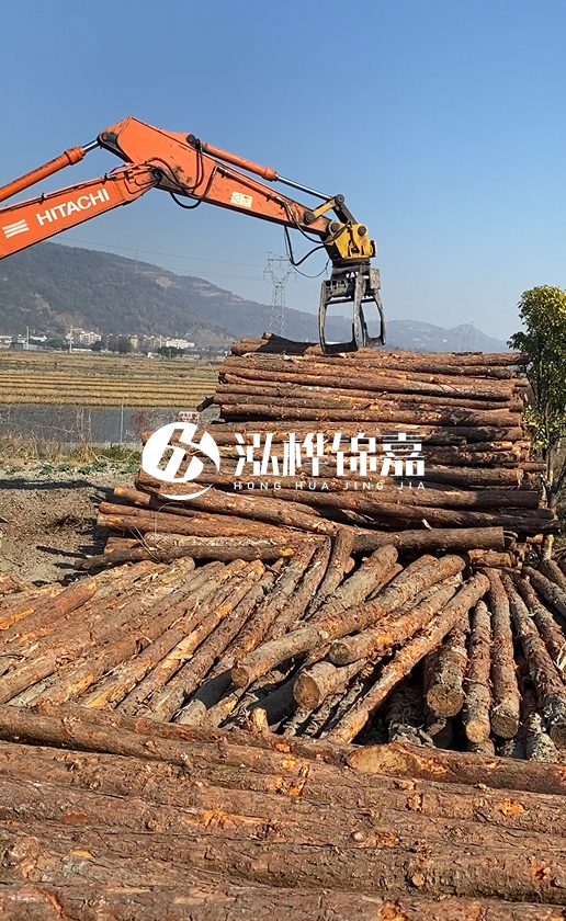 帶皮松木樁的防腐效果如何？和不帶皮松木樁價(jià)格差異有多大？