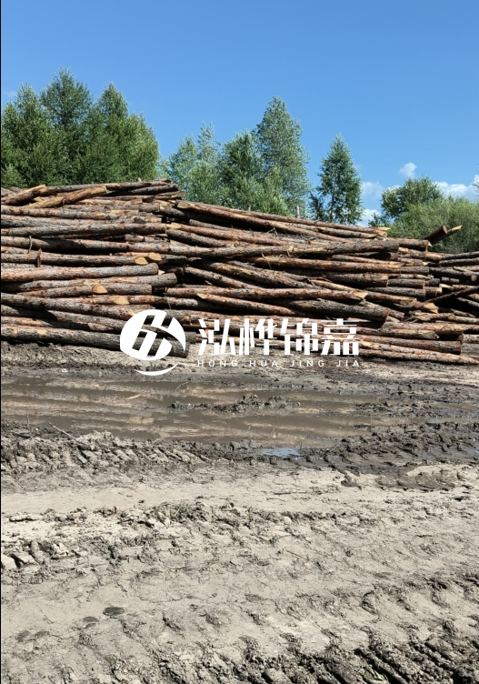 3米松木樁適合河道護(hù)坡嗎？小頭直徑8厘米的松木樁價(jià)格如何？