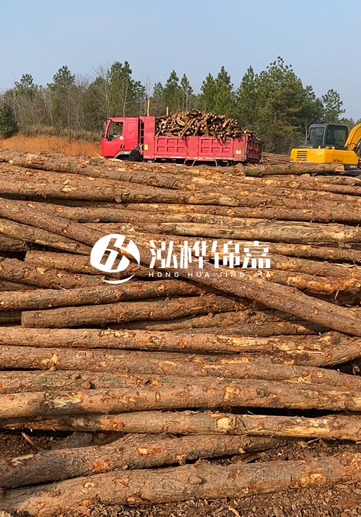 8米小頭11-13CM的松木樁價格是多少？打樁施工怎么算？