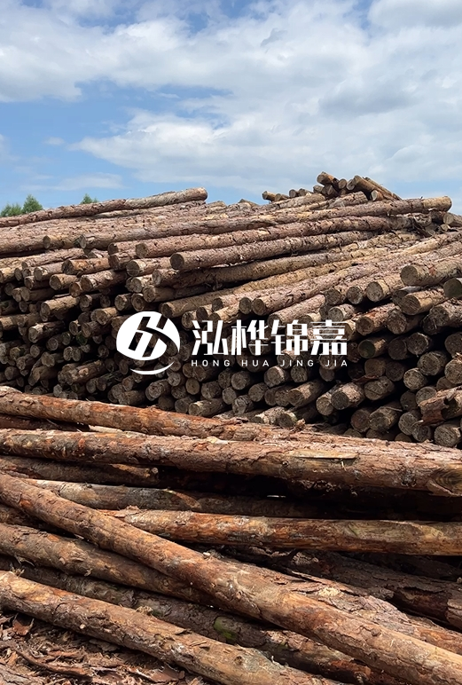 福建松木樁源頭廠家泓樺錦嘉-4.5米松木樁大頭15CM多少錢？