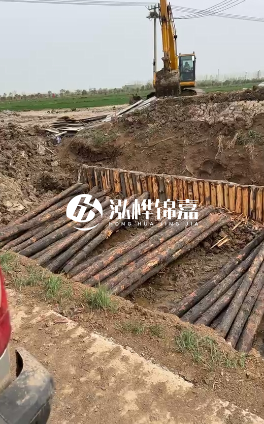 4米直徑12-13油松批發(fā)價最低多少？報價含稅含運嗎？