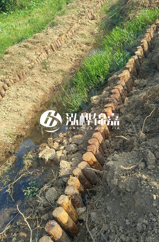 湖南松木樁批發(fā)廠家直銷-松木樁做碳化多少錢一根？