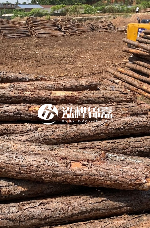 陜西河道木樁源頭廠家泓樺錦嘉-3米大頭11-13厘米多少錢一根？