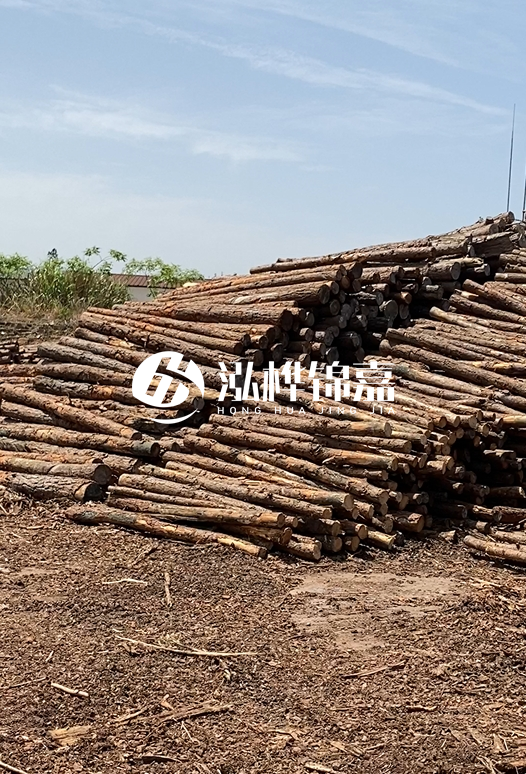 3.5米松木樁單價含稅怎么計算？碳化處理成本增加多少？