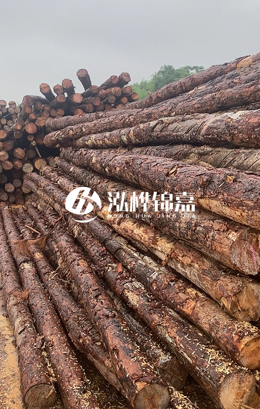 購買松木樁注意事項有哪些-不同直徑松木樁區(qū)別有哪些？