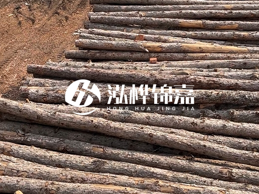 4.5 米松木樁多少錢一根？含稅價和不含稅價相差多少？