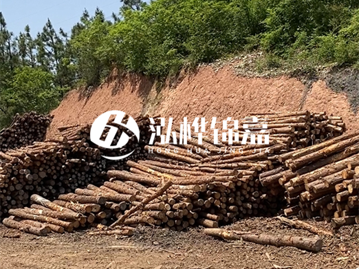 油松打樁木和落葉松打樁木的價格差異是多少？哪個性價比更高？