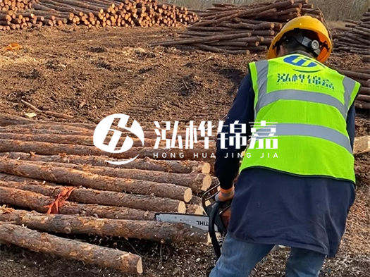 哪些木樁廠家能提供快速定制服務？哪些木樁廠家在國內(nèi)有多個生產(chǎn)基地？