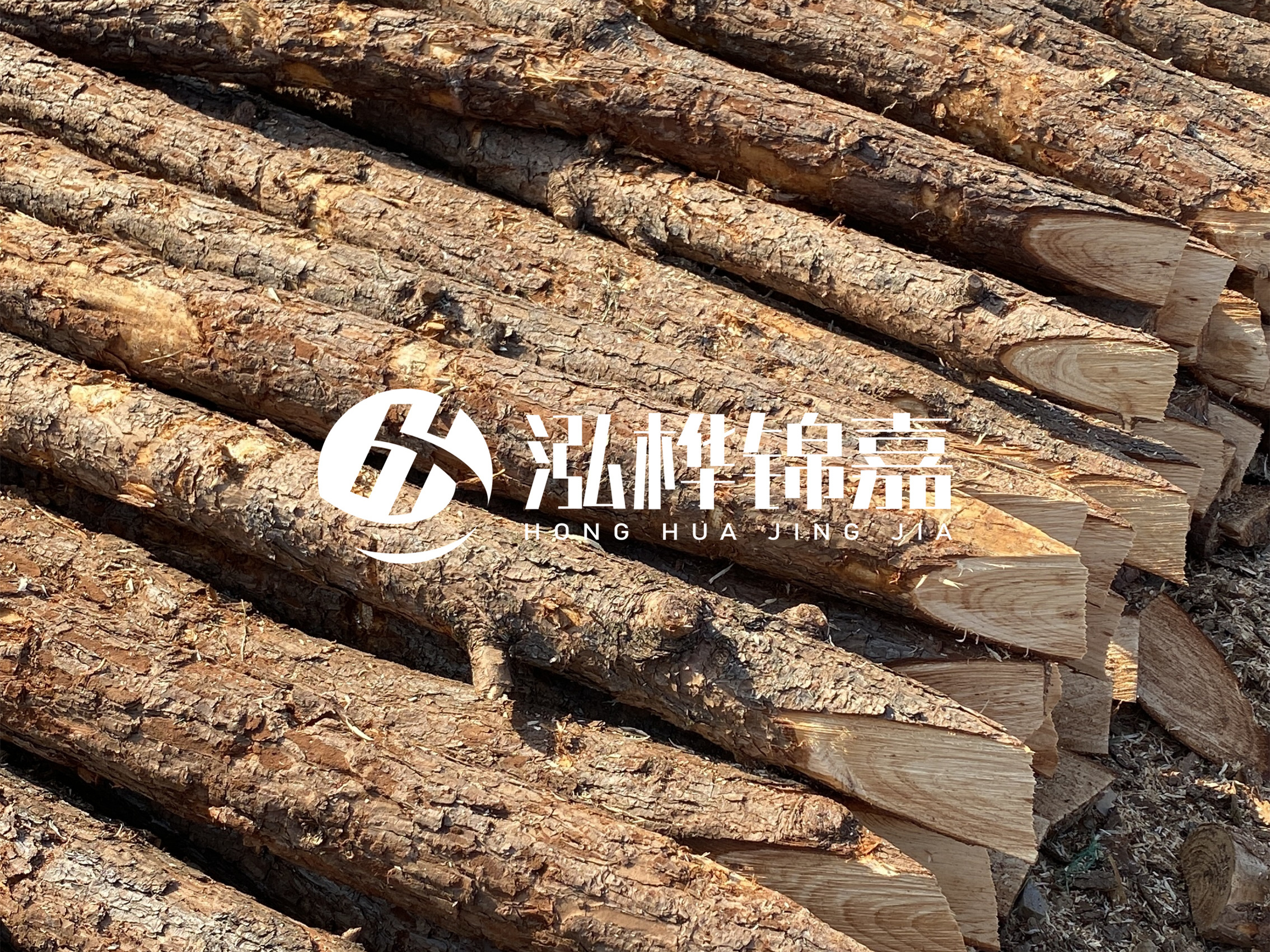 8 米超大直徑松木樁的價格是多少？帶皮和去皮松木樁價格差多少？