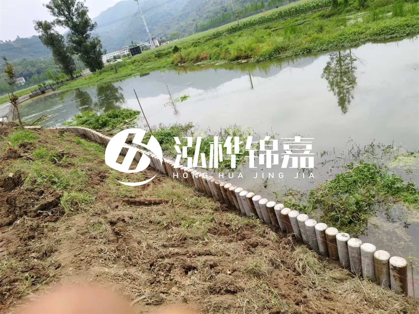 松木樁加固河道與水泥樁對比如何？哪一種更加適合您？