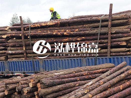 防洪防汛用松木樁的單價是多少？4米長10公分多少錢一根？