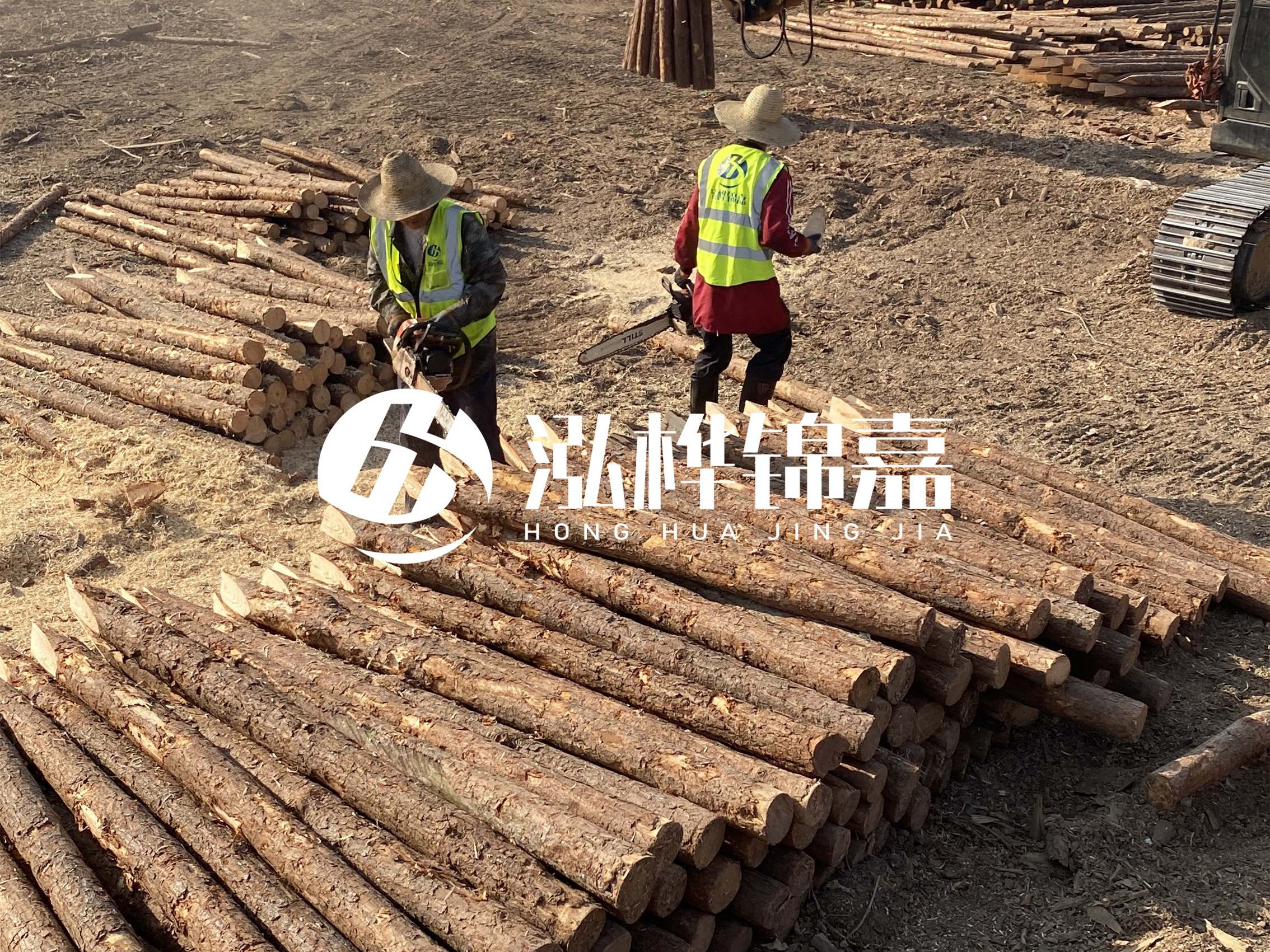 河道木樁報價在汛期前后會有波動嗎？什么時候買最便宜？