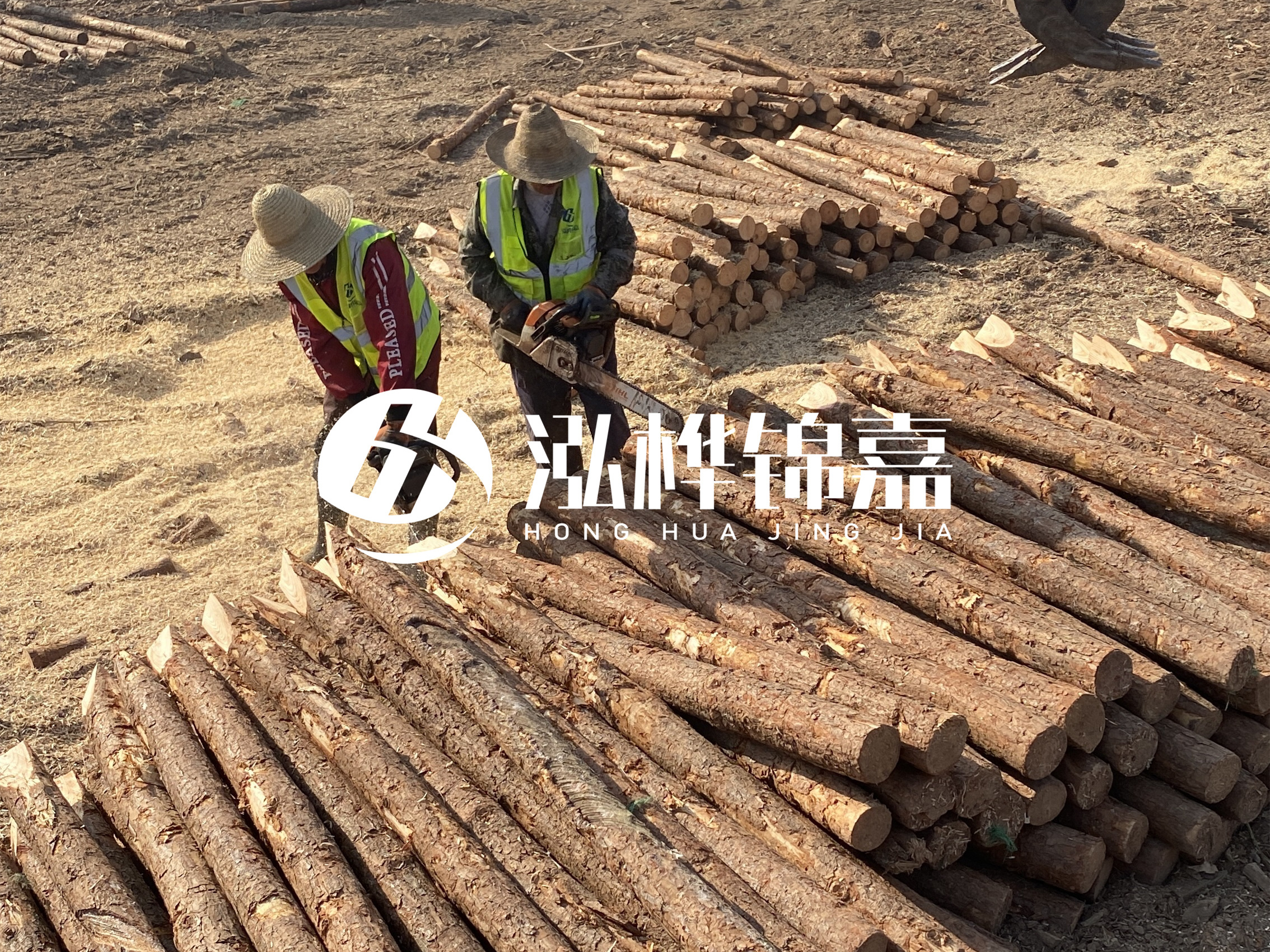 河北打樁木廠家主要生產(chǎn)哪些材質的打樁木？產(chǎn)品有哪些規(guī)格？