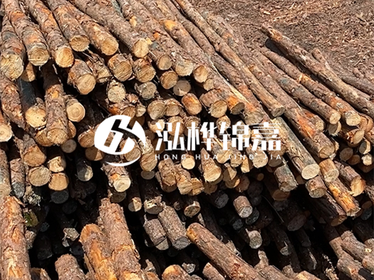 江西有哪些松木樁生產(chǎn)廠家？松木樁廠在什么位置？