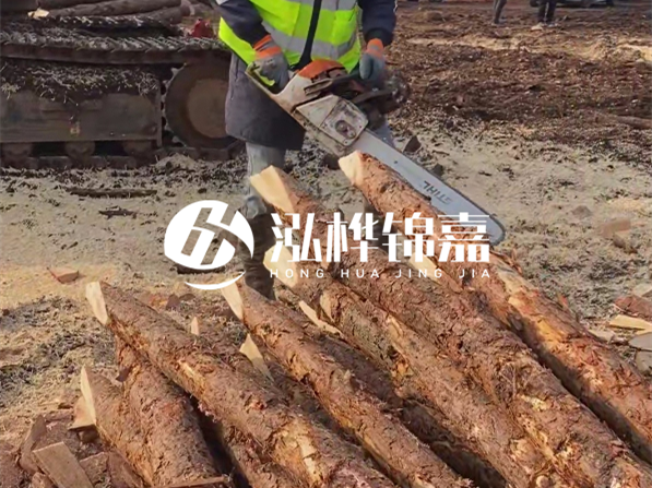 松木樁河道護坡怎么施工？打樁多少錢一根？