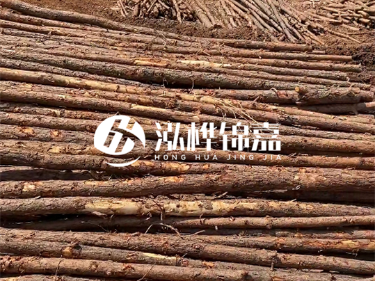 10公分的木材多少根為一方 - 4米10公分樹(shù)多少根為一方？