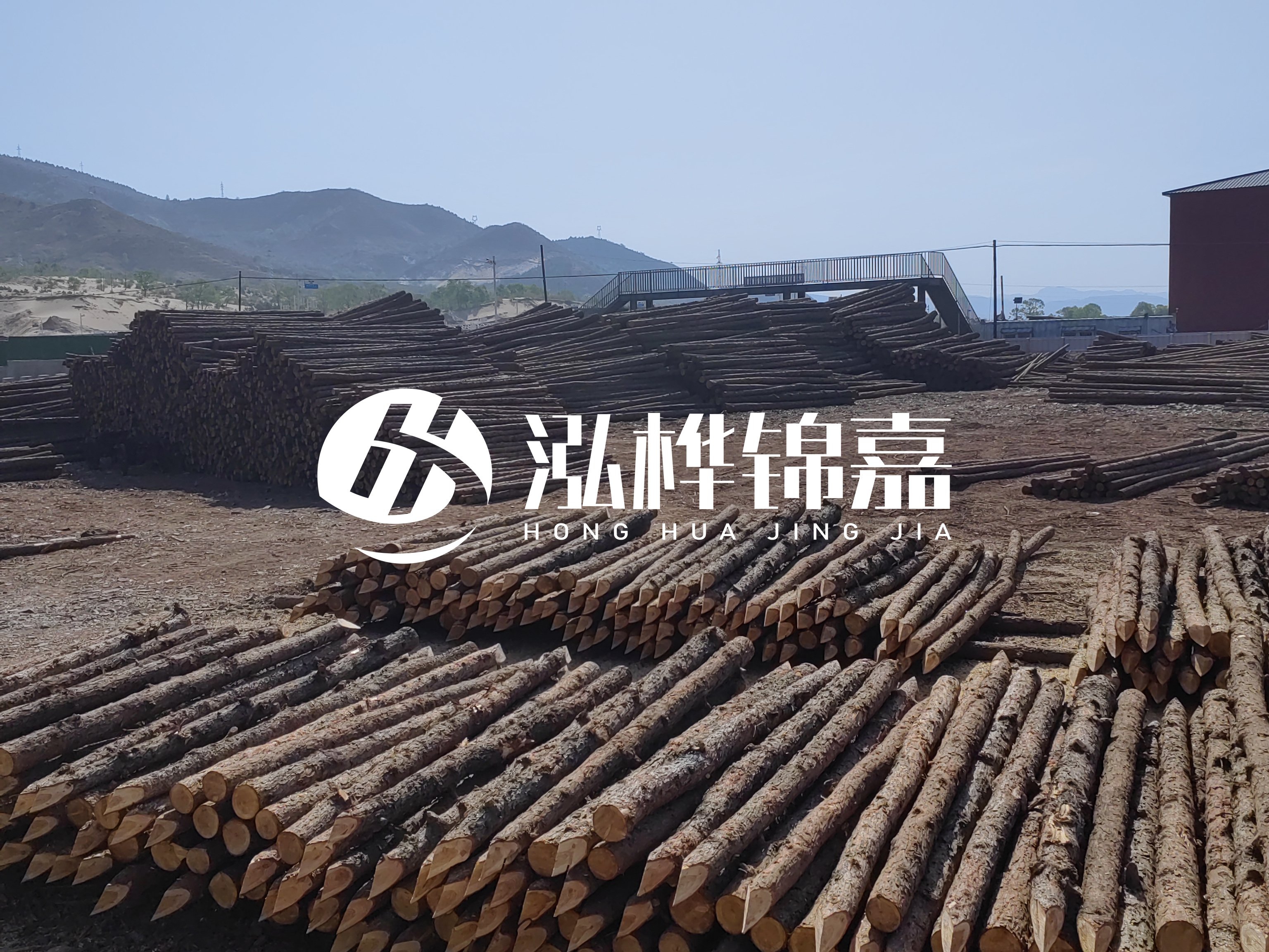 江蘇打樁木源頭廠家泓樺錦嘉-4米打樁木大頭14-16小頭一般多少？