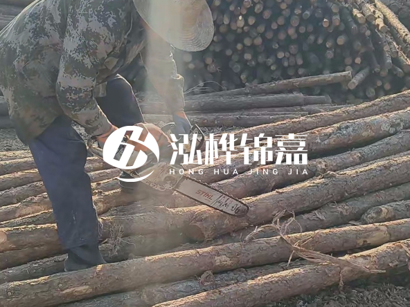 廣東打樁木源頭廠家泓樺錦嘉 - 如何選擇適合特定邊坡的松木樁？