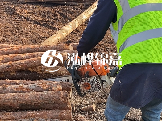 河道打木樁多少錢一根？5米直徑10松木樁打樁多少錢？