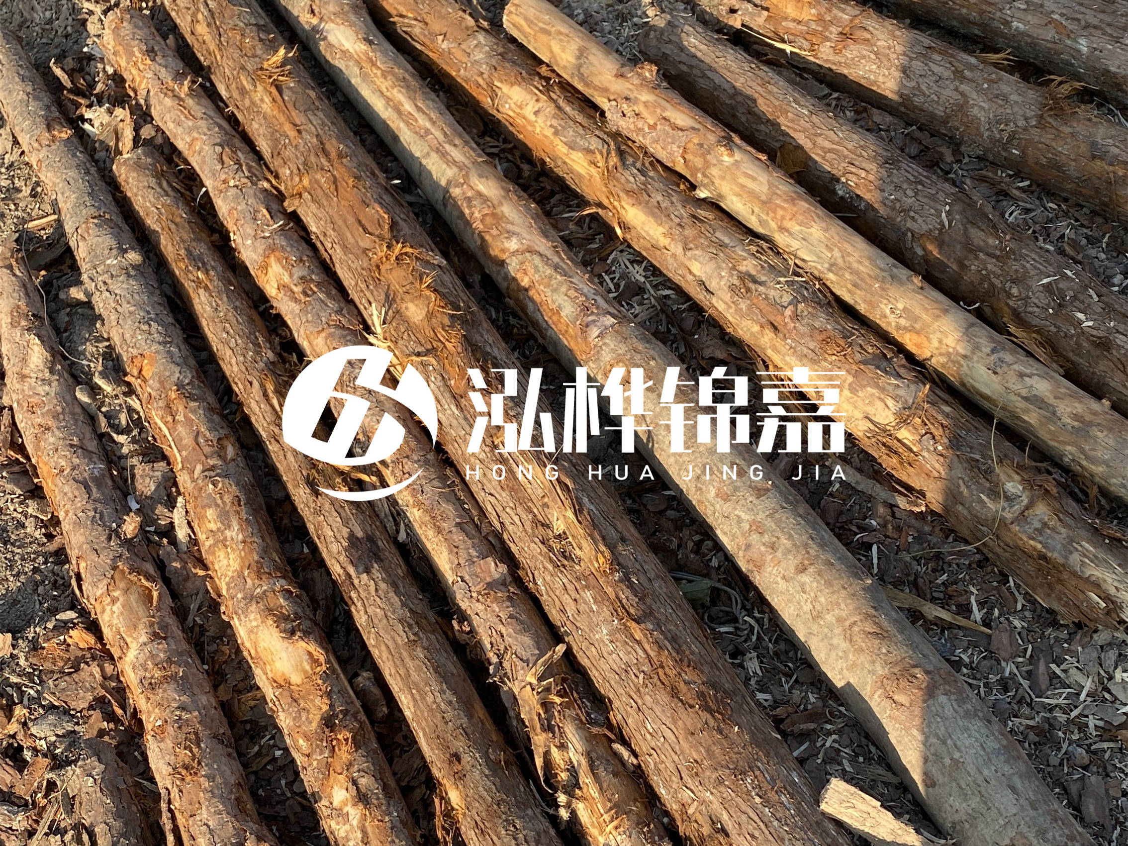 河道木樁多少錢一根？河道木樁的使用以及保養(yǎng)方法?