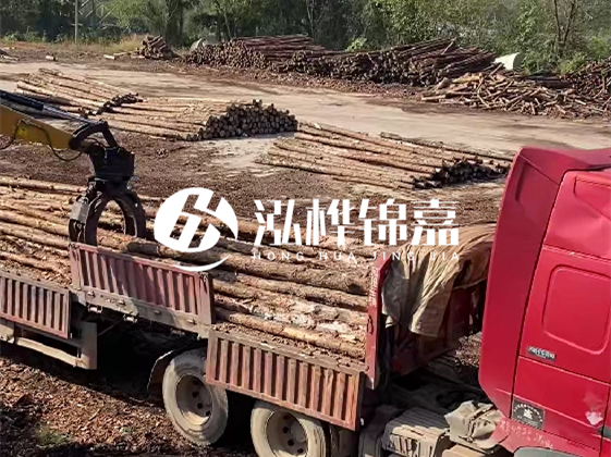 四川松木樁廠家泓樺錦嘉-哪一種打樁木最便宜？