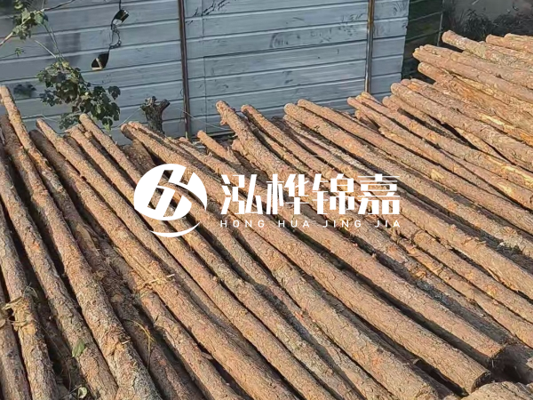 松木樁打樁后清淤怎么處理？有沒有全包的公司？