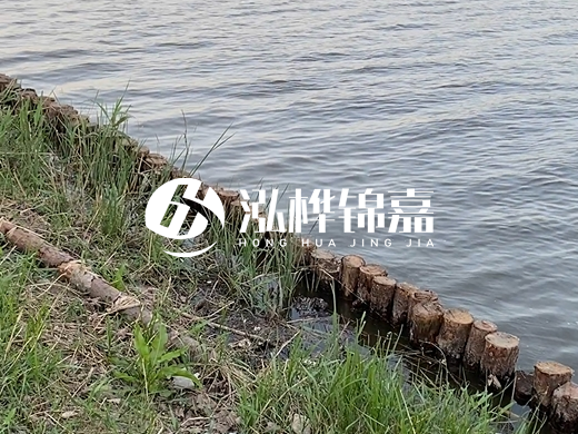防洪松木樁施工重要性？河道打木樁的位置怎么確定？