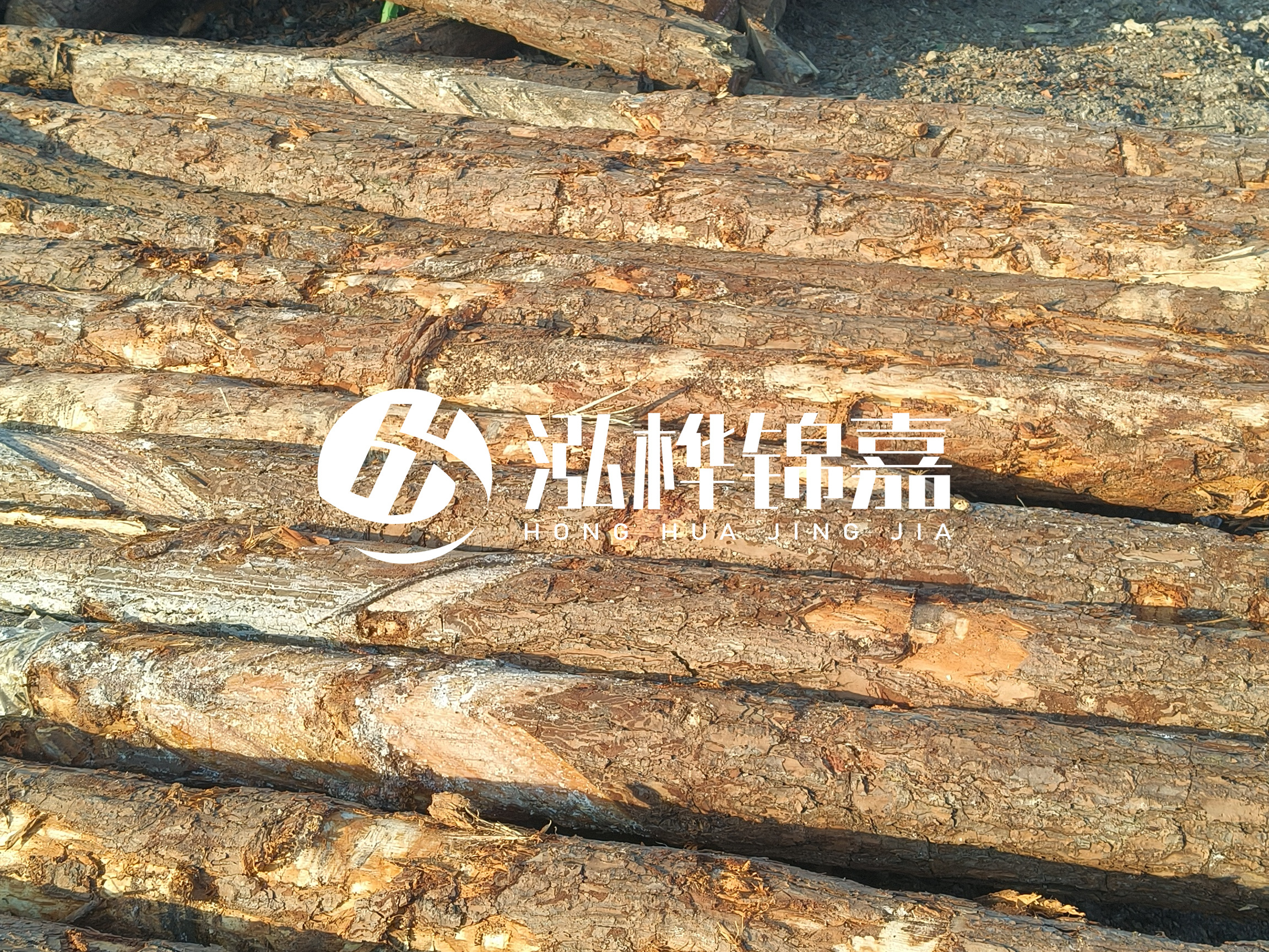 河道木樁的含水率過(guò)高會(huì)有什么問(wèn)題？怎么檢查松木樁含水率？