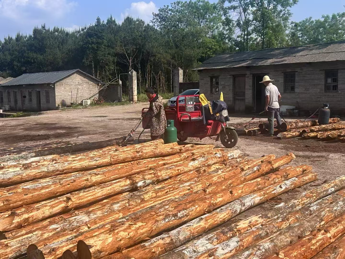 松木樁批發(fā)廠家泓樺錦嘉-圍堰松木樁為什么要交錯(cuò)排列？