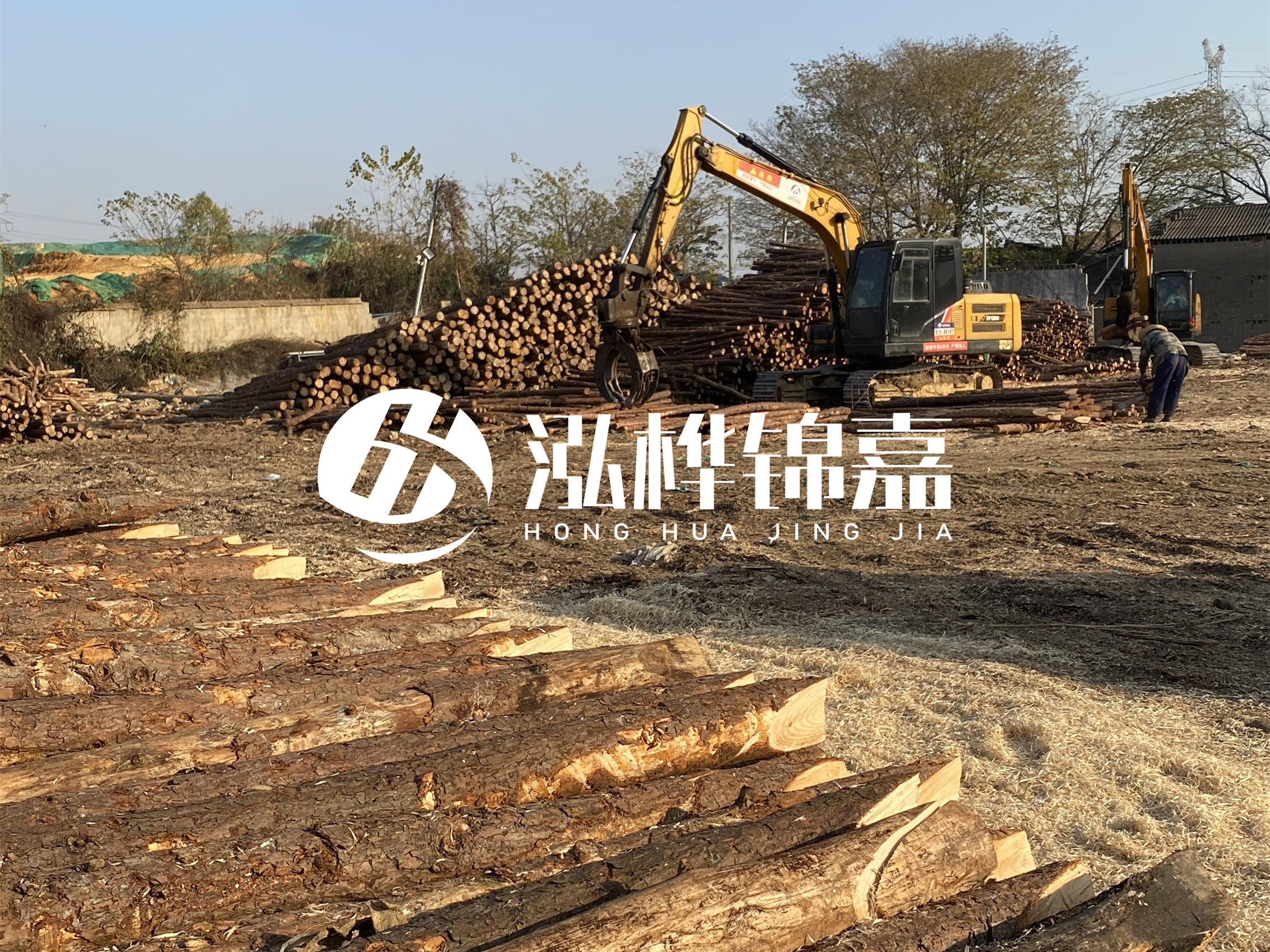 松木樁批發(fā)廠家泓樺錦嘉-松木樁廠家能開(kāi)發(fā)票嗎？