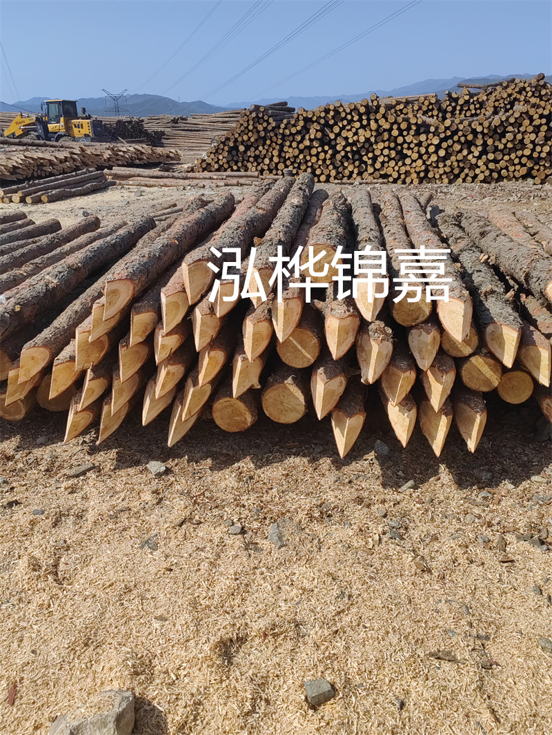 宿州哪里賣松木樁？了解一下木材市場